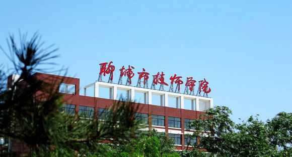 聊城市技師學院有計算機專業嗎？