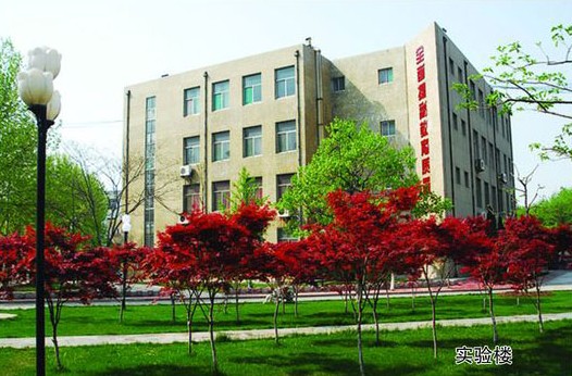 淄博市工業學校開設哪些計算機課程？