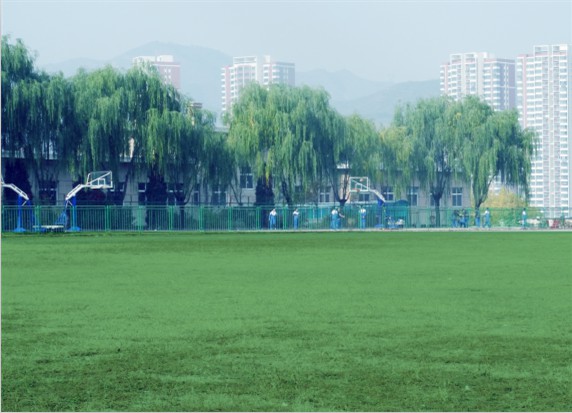 青島滿天星職業培訓學校怎么樣？