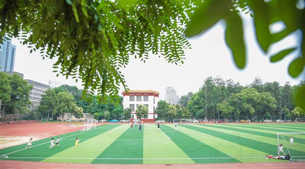 為什么選擇青島滿天星職業培訓學校？